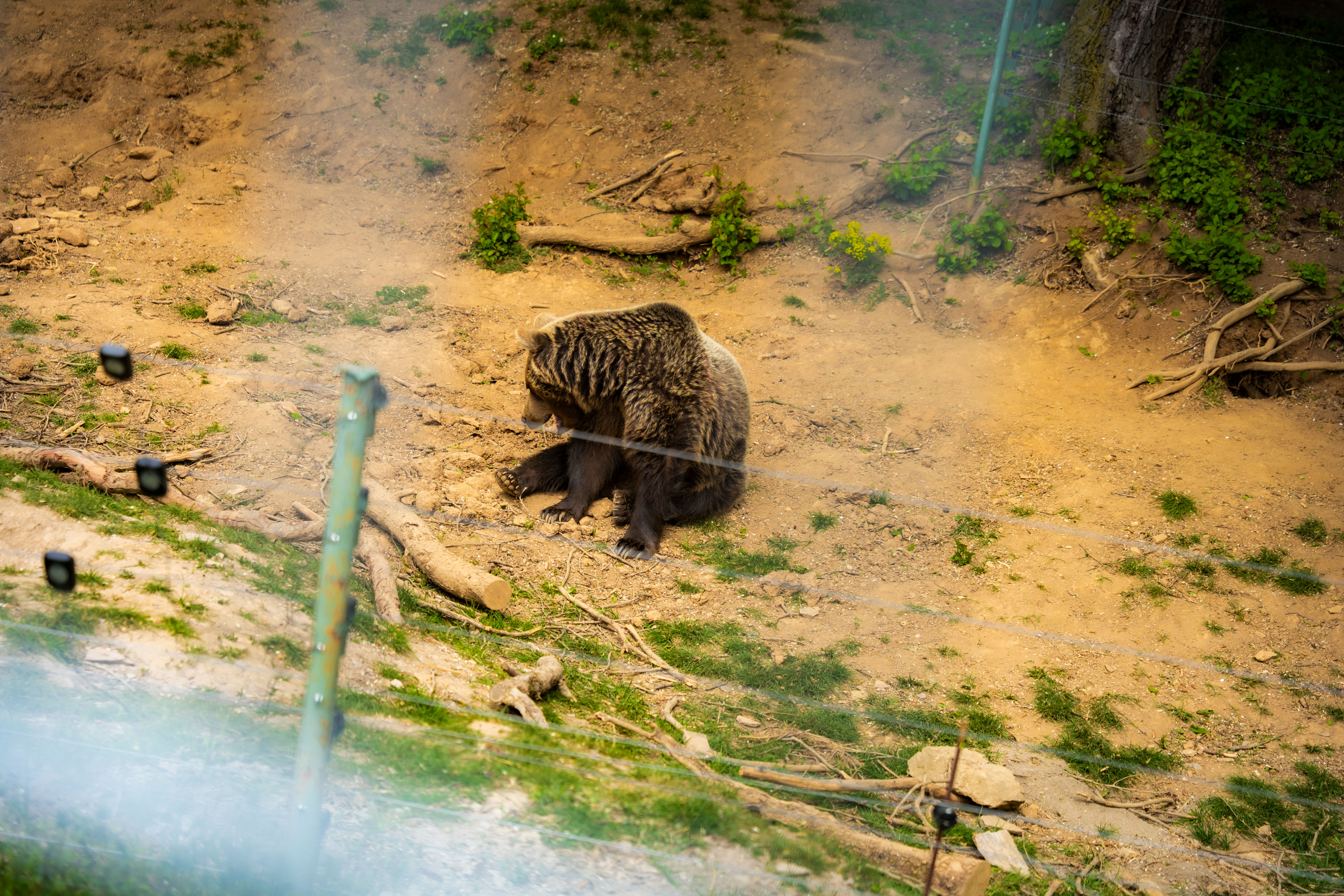 Slavnostne odomykanie vrany ZOO Kosice-1-59